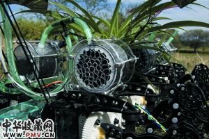 新媒体艺术展《延展生命》