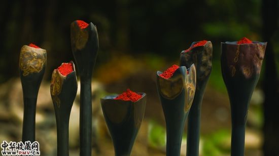 雨果・扎帕塔《人民花园》（石头，颜料）