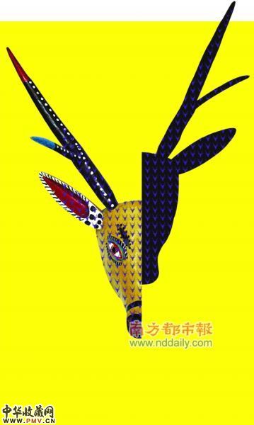 图片资料