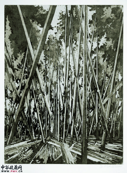 大卫・施奈尔作品