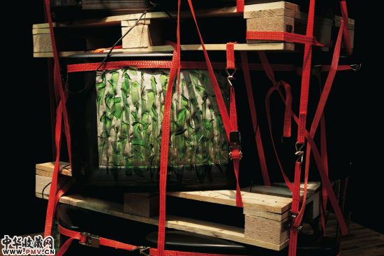 肯德尔・戈尔斯作品