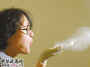 徐冰《何处惹尘埃》