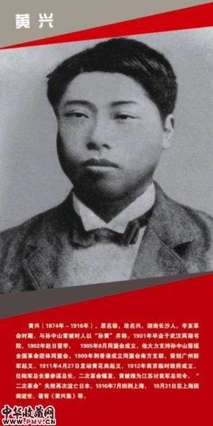 图片资料