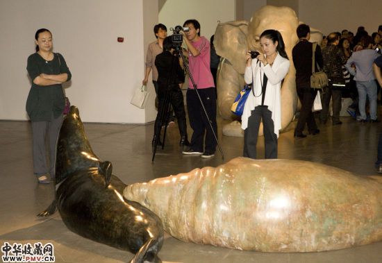 展览现场