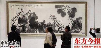 图片资料