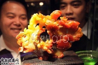 寿山石雕刻艺术精品展现场