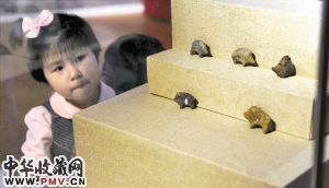 图片资料