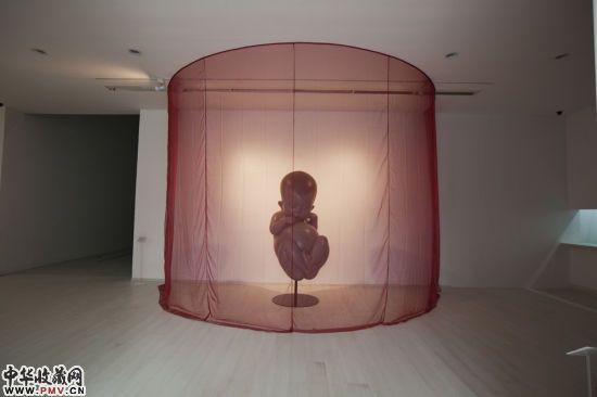 展览现场:作品《染色体》