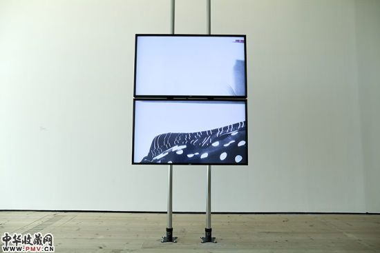 Hilary Lloyd的作品