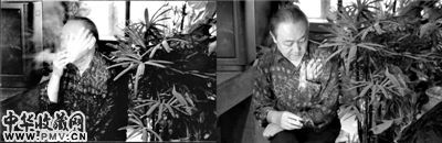 宋冬用《抚摸父亲》的装置作品表达对父亲的爱
。请与我们联系
， 今日美术馆供图  <p>　　新京报讯             <p style=