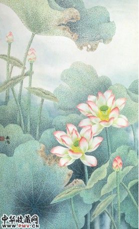 荷花