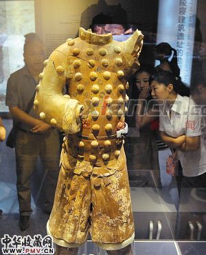 游客正在参观新出土的泡钉俑记者 张宇明 实习生宋洪涛 摄