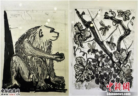 毕加索8件版画作品亮相新疆，其中5件作品都是动物题材，分别为：《公羊》、《猴子》、《螨蜂》、《牛》、《鹿》。图为《猴子》、《螨蜂》两件作品。　马新龙　摄