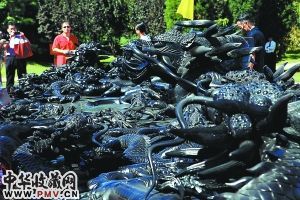 66吨巨型龙砚亮相海淀 收藏资讯