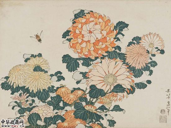 《菊花》，葛饰北斋，1833年-1834年