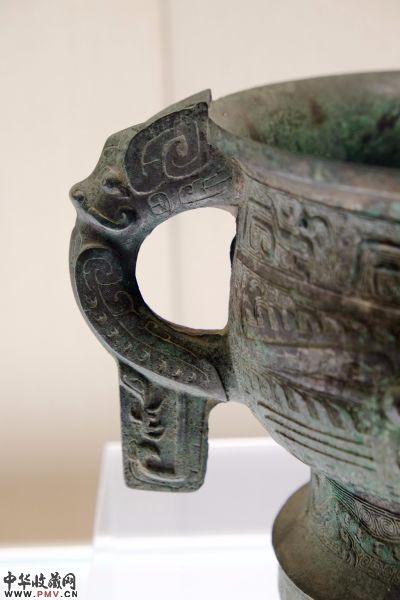 还有这只，鼻子下面还多了一个垂直的附属物：