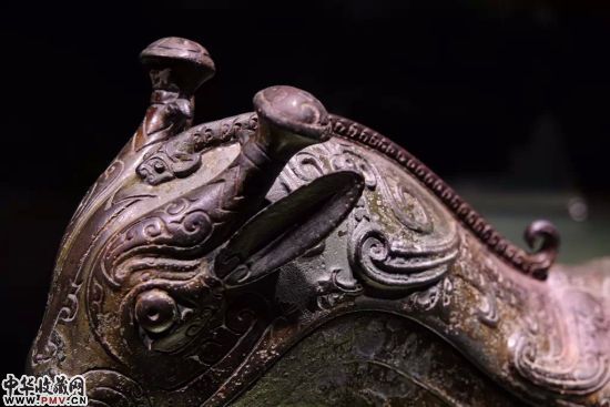 脑袋上趴了一条“龙”(蛇？)