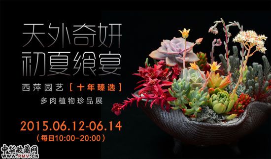 西萍园艺十年臻选多肉植物珍品展将举办 收藏资讯