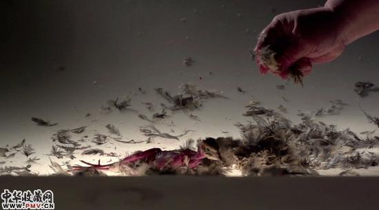 许翔作品《七秒》截图