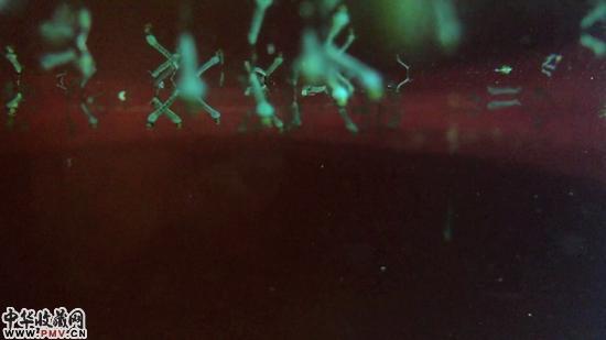 许翔作品《异共》截屏