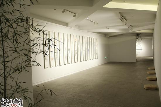 白苓飞作品展览现场