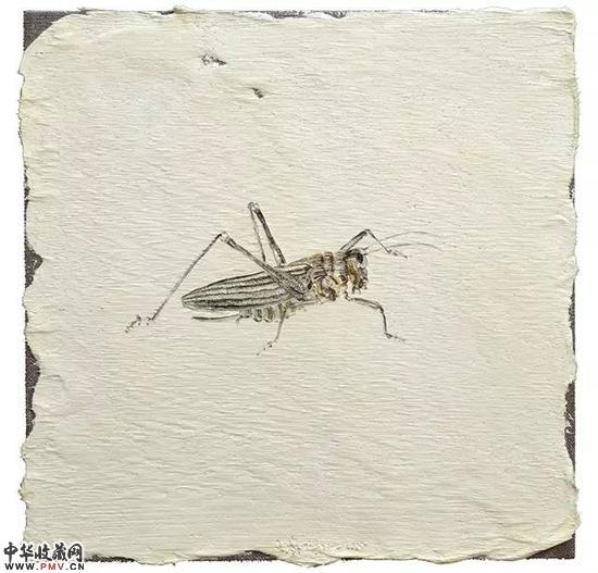 王焱 《蝈蝈》  70×70cm 布面油画 2015