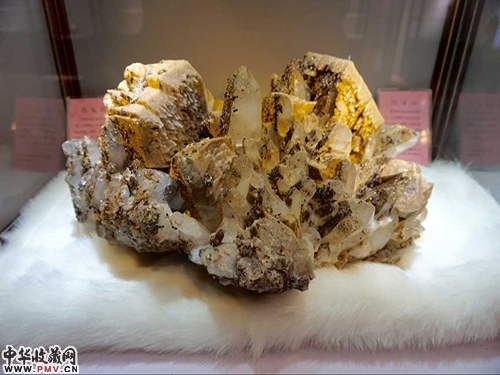 在博览会上提前亮相的奇石展品