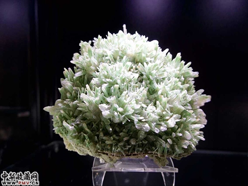 在博览会上提前亮相的奇石展品