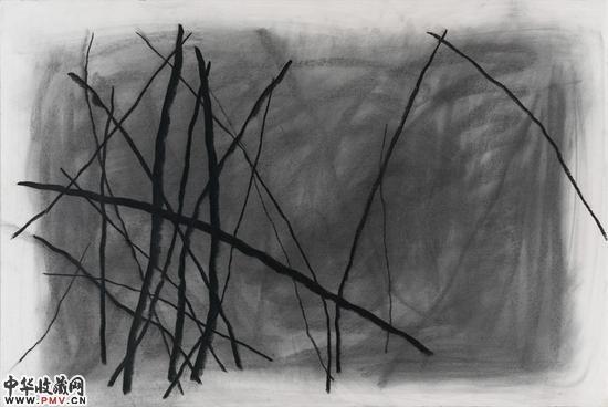 谭平   素描    153cmx105cm    纸本炭笔   2015