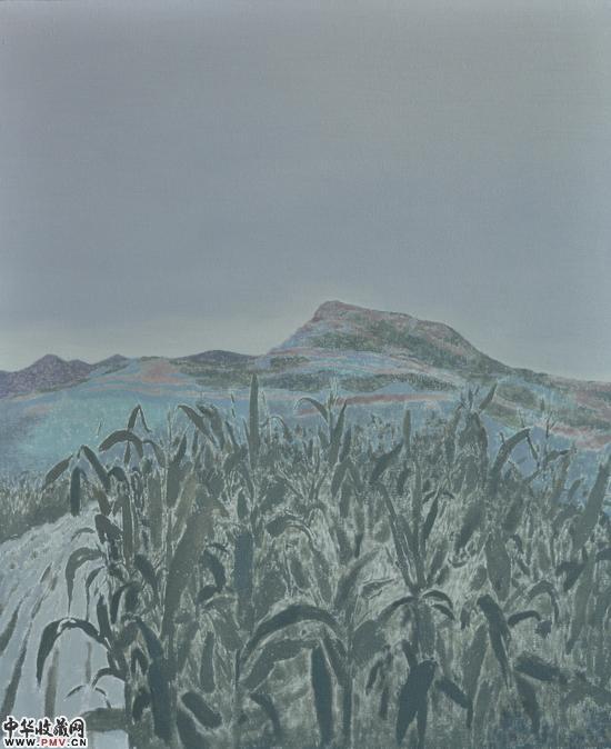 孙丰刚 玉米地 50x60cm 2011 布面油画