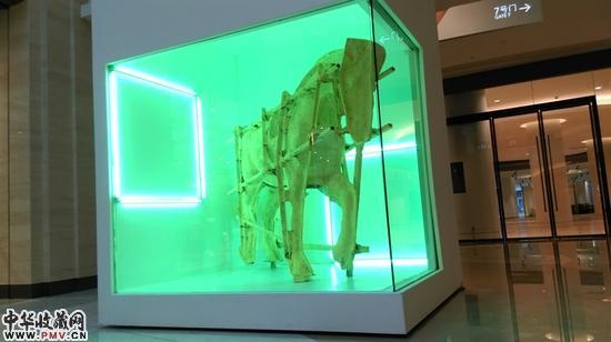 康甲，有所牺牲的法则，装置，尺寸可变，2015