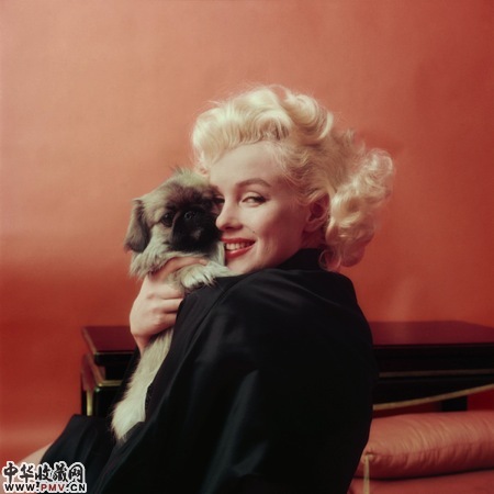 弥尔顿?H·格林，《玛丽莲与京巴狗》（1955） 图片：via Little Black Gallery