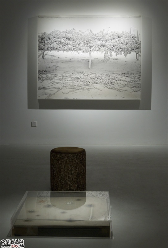 展览现场 图片出自清澈传媒