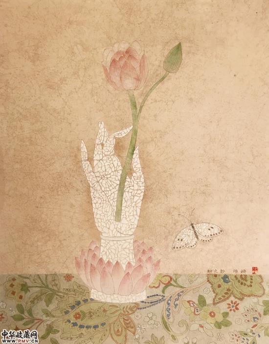 知之妙 陈姗 2015 44-55cm