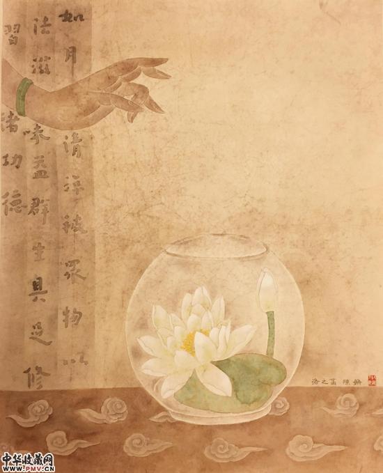 洛之菡 陈姗 2015 44-55cm