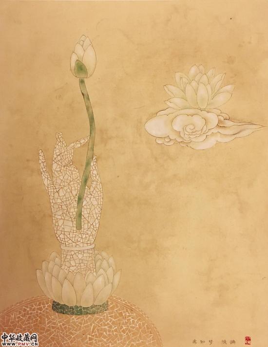 弗知梦 陈姗 2015 44-55cm