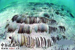 南京博物馆2016年将推出九大展览  收藏资讯