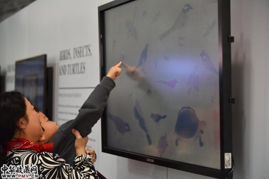 观众与数字化《写生珍禽图》互动