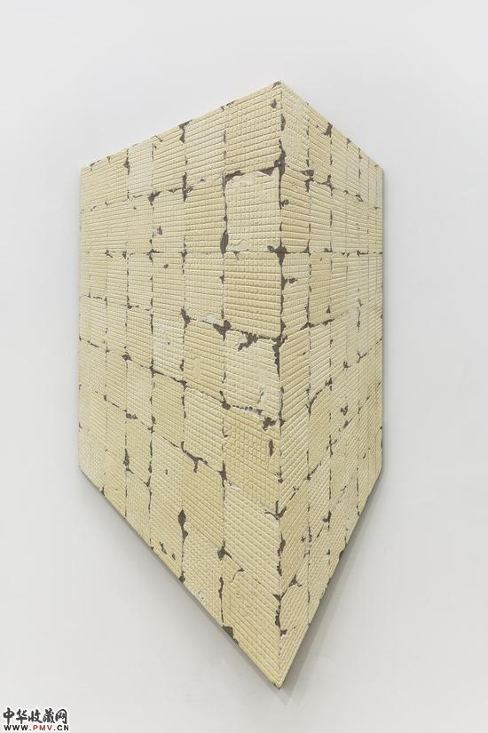 蔡磊作品 《8.82平方米》8.82 square meters  106x212cm   布面丙烯  2015