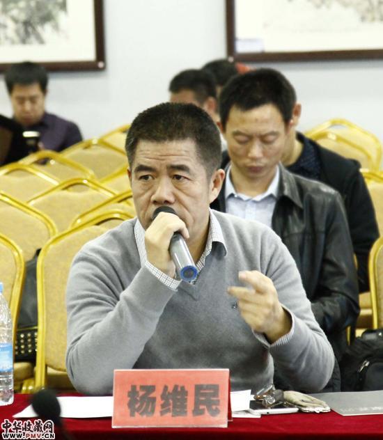 著名美术批评家，策展人杨维民