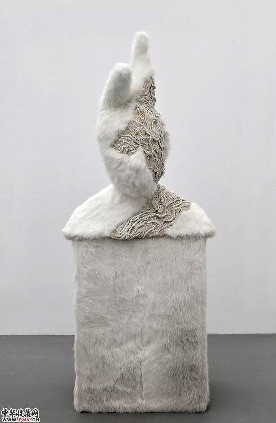 许静宇，潘先生，2009，织物和羊毛和树脂， 240×106×76cm