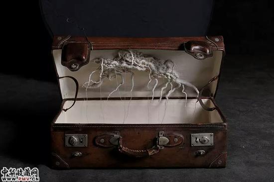 许静宇，箱子，2013，牛皮和织物，61×50×50cm