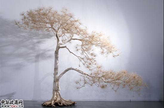 史金淞 07- 6.2米迎客松, 2007, 各种树木、柳树枝、树根、不锈钢螺丝等, 620x 820x 360