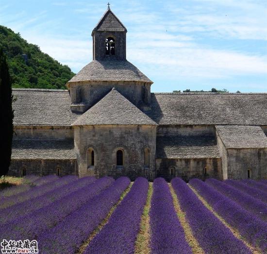 普罗旺斯塞南克修道院