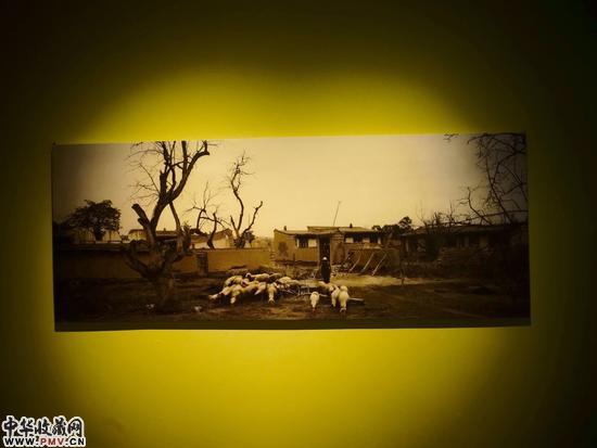 最后的村庄展览现场之戴小兵作品