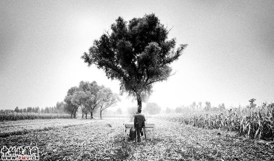 侯帅 钢琴 2014 明胶银盐 32×54cm