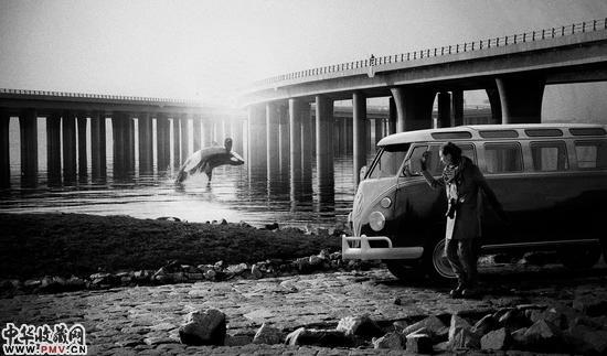 侯帅 鲸鱼 2013 明胶银盐 32×54cm