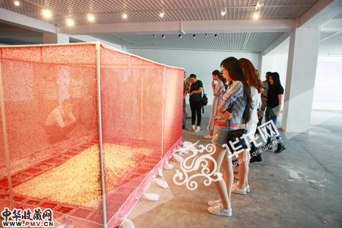 艺术家华韡华带着他的百万苍蝇雄狮到重庆 收藏资讯