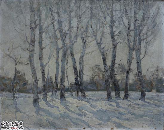 1979 天坛白杨 布面油画 37x46cm