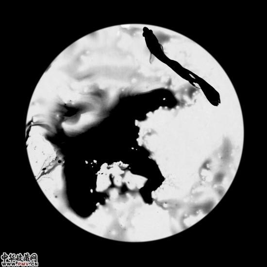 高子楠 作品 油画撑框 (2)